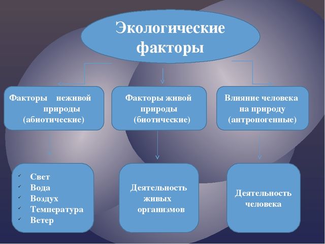 Схема экологические факторы 9 класс с примерами